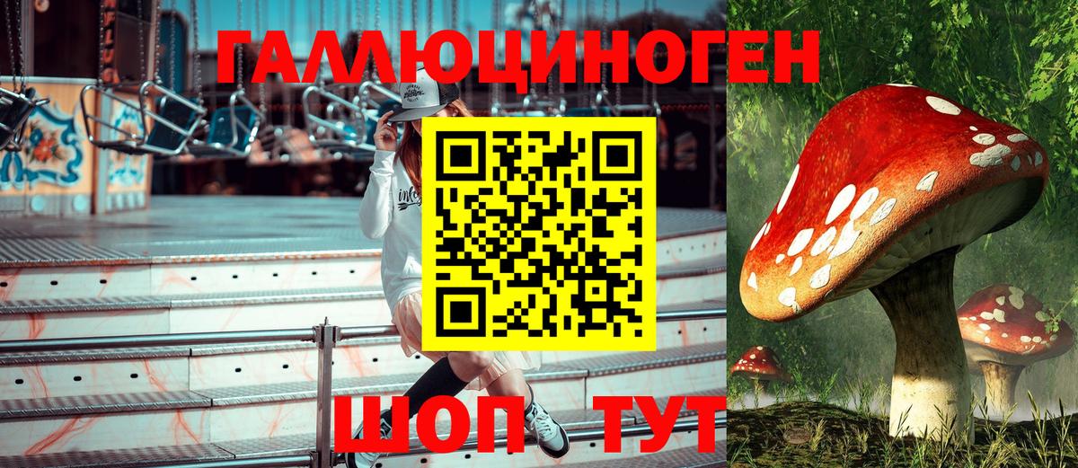 Луховицы  Псилоцибиновые грибы Psilocybe  Вход с VPN  Галлюциногенные грибы Psilocybine cubensis 